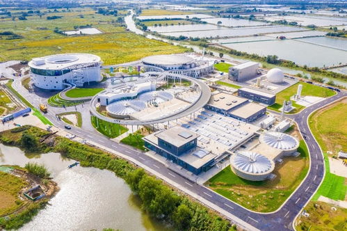 污水处理厂升级打造为资源循环工厂 宜兴概念厂获 全球创新大奖