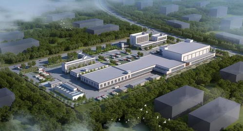 新柳南屠宰厂 项目开工奠基仪式隆重举行