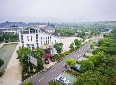 宜兴西渚镇网站建设揭秘与高塍镇官网展望（2025年01月焦点）