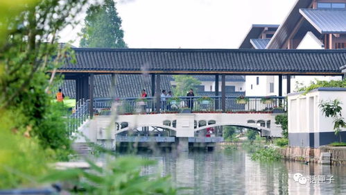 住在风景里，何必还要去找风景——宜兴网站建设让美丽乡村触手可及