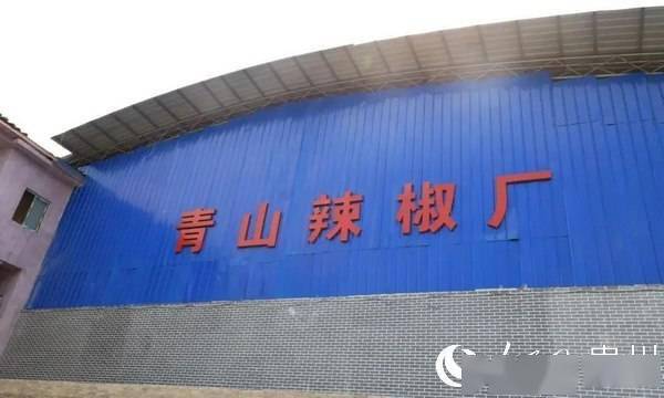 金海湖新区规划建设辣椒加工厂，延长产业收益链